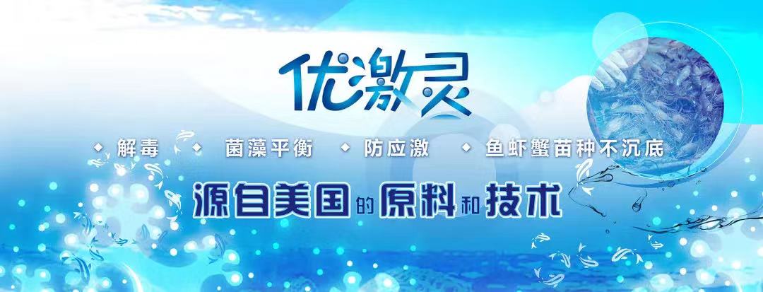 亙泰