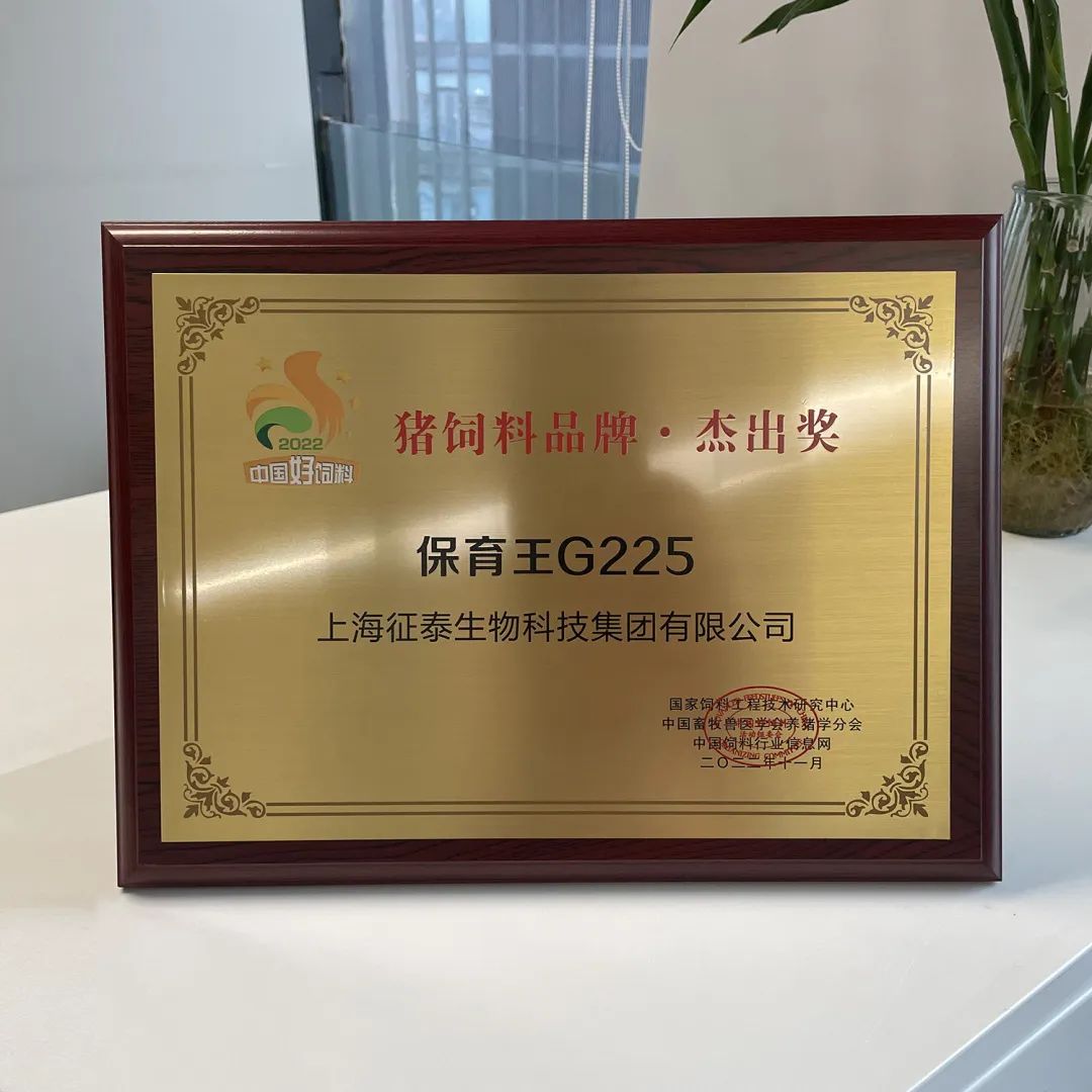 亙泰